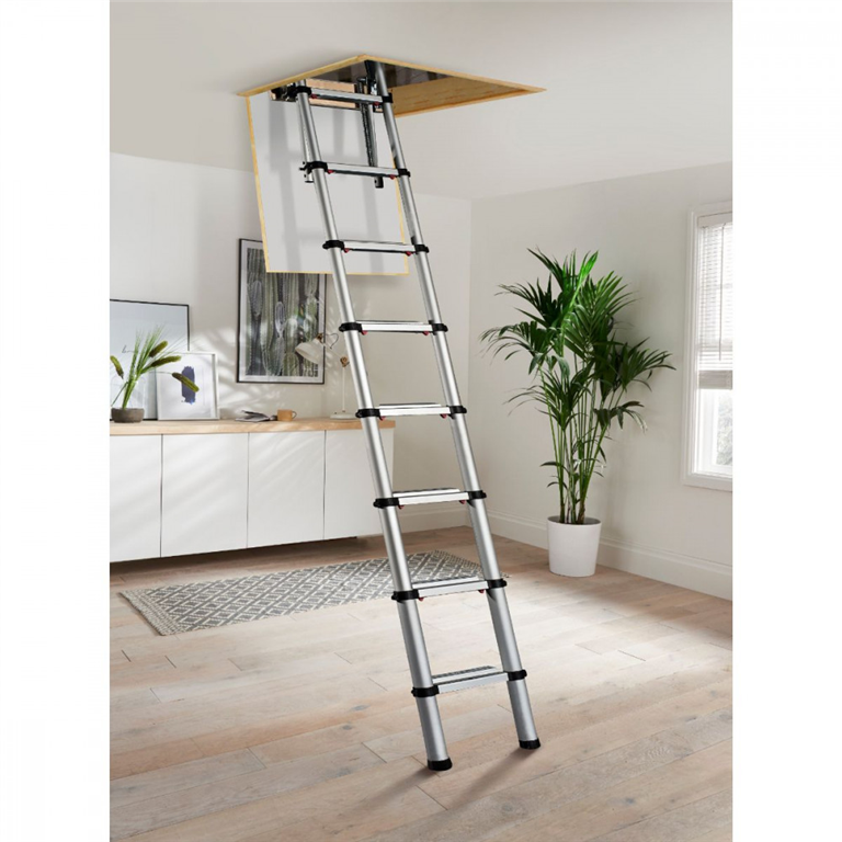 Youngman Telescopic Ladder Gallery Image