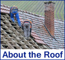 About the Roof