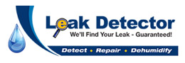 Leak Detector NI