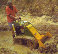 Loxam Swan Image