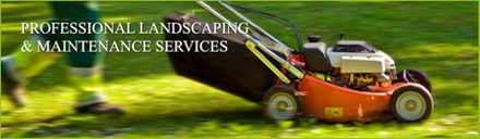Denis Ryan Landscaping & General Maintenance Image