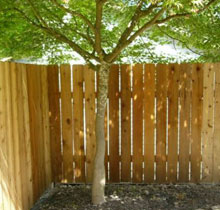 Wonder-Wood Image