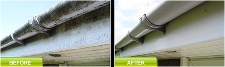 Cork Gutter and Cleaning Services Image
