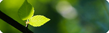 eZero Solutions Ireland Image